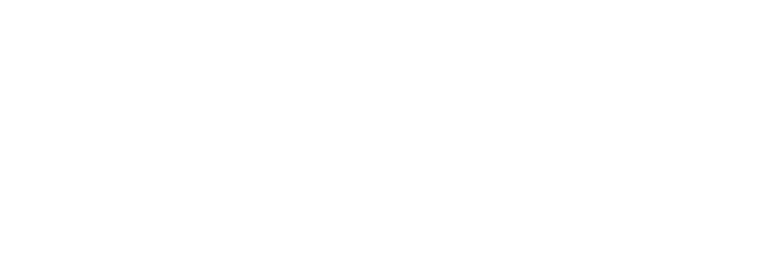 Portrét vody