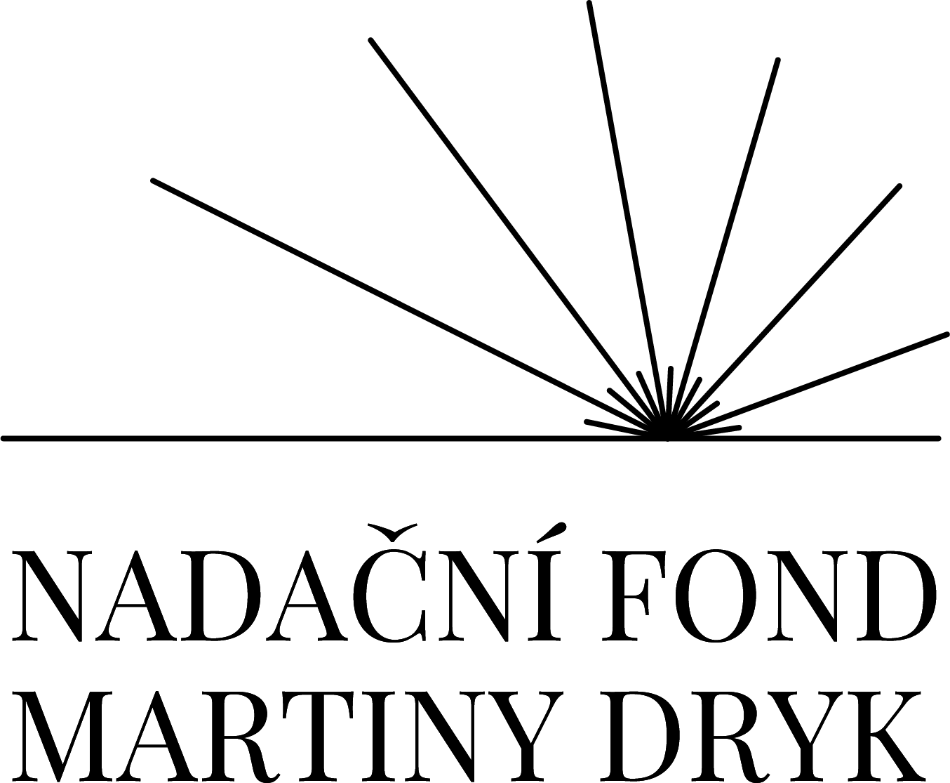 Nadační fond Martiny Dryk